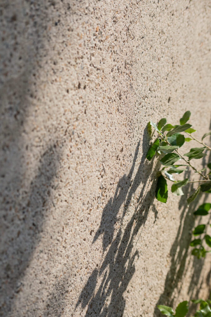 Detalle de Sa Caleta en s'Agaró